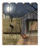 "Sleepy Hollow Bridge" By Artisan Billy Jacobs, Printed on Wooden Picket Fence Wall Art